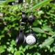 long black earrings, chandelier earrings, white and black earrings, black dangle