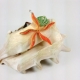 beach jewelry, starfish necklace, starfish jewelry, paper jewelry, sea shell