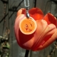 simple pendant, paper jewelry, paper quilling jewelry, orange jewelry, handmade