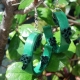 quilling four leaf clover, shamrock earrings, green celtic earrings, paper quill