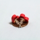 quill heart earrings, color choices, multiple colors, different colors